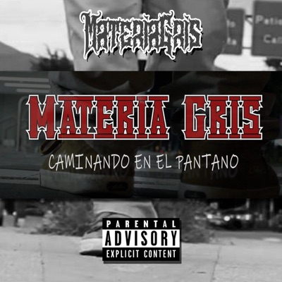 Caminando en el Pantano - Single