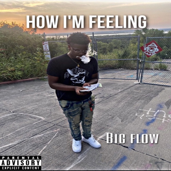 How Im Feeling - Single