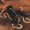 Human Carcus - Nfant Bcn lyrics