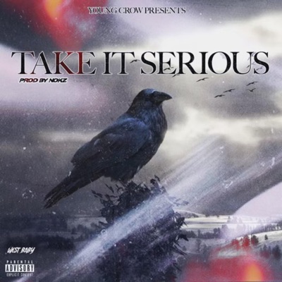 Take It Serious - Single