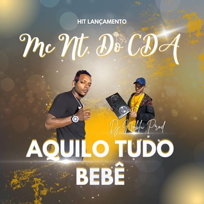 Aquilo tudo Bebê (feat. Mc NT do CDA) - Single