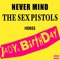 Sex Pistols - JADY'S BIRTHDAY lyrics