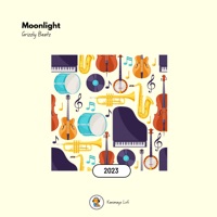 Moonlight - Single - Grizzly Beatz & Kanimayo