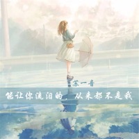 能让你流泪的,从来都不是我 - Single - 蘇一音