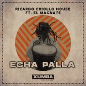 Echa Pa'lla (feat. el Magnate) artwork