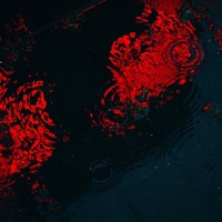 Still Falls the Rain - Single - Swiftly