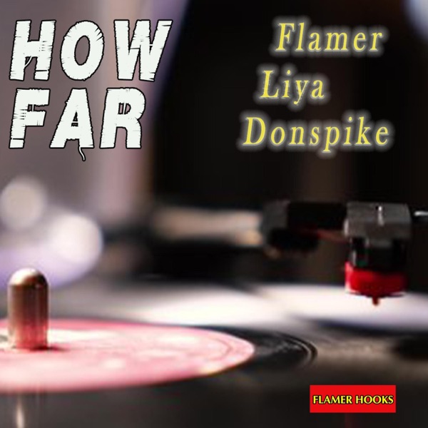 How Far (feat. Liya & Donspike)
