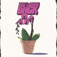 Now Looking Back... - Single - Adriel Rivera