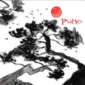 Puijo artwork