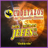 Cobarde (feat. Los Cadetazos de Agustín Ibarra) - Single - Los Meros Jefes de N.L.