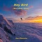 Hey Bird (Bird Over Maui) - Joe Gianono lyrics