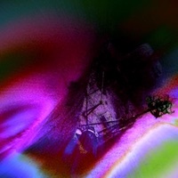 That Sunken Feeling - Single - Zaphod Black