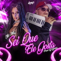 Sei Que Ele Gosta - Single - Mc Mia & Dj Djotah