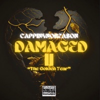 DAMAGED II 