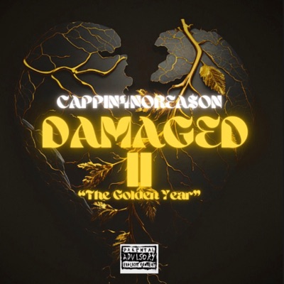 DAMAGED II "the Golden Year"