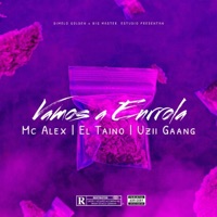 Vamo A Enrrola (feat. Uzii Gaang & Doni El Taino) - Single - MC Alex