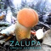 Zalupa - Single