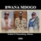 Bwana mdogo (feat. Patoranking & Alikiba) - Kixbite lyrics