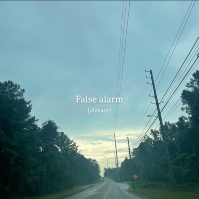 False Alarm - Single