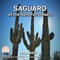 Saguaro of the Sonoran Desert - maxwell 3 lyrics