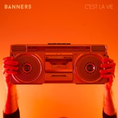 C'est La Vie artwork