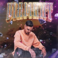 DIAMANT - Single - Beko