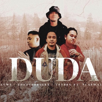 DUDA (feat. Luwe & Toybox) - Single