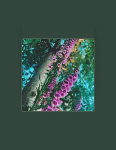 Ouve Navraj Morerale, vê vídeos de música, lê a biografia, vê as datas da digressão e muito mais!