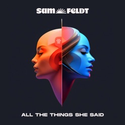 ALL THE THINGS SHE SAID cover art