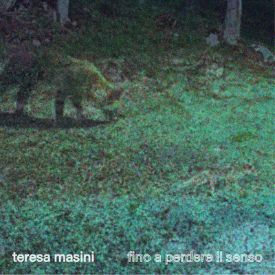 Fino a perdere il senso - Teresa Masini