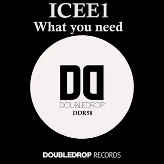 What You Need by ICee1 song reviws