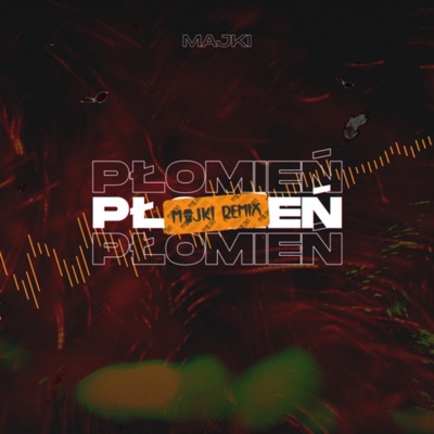 Płomień (Remix) - Single