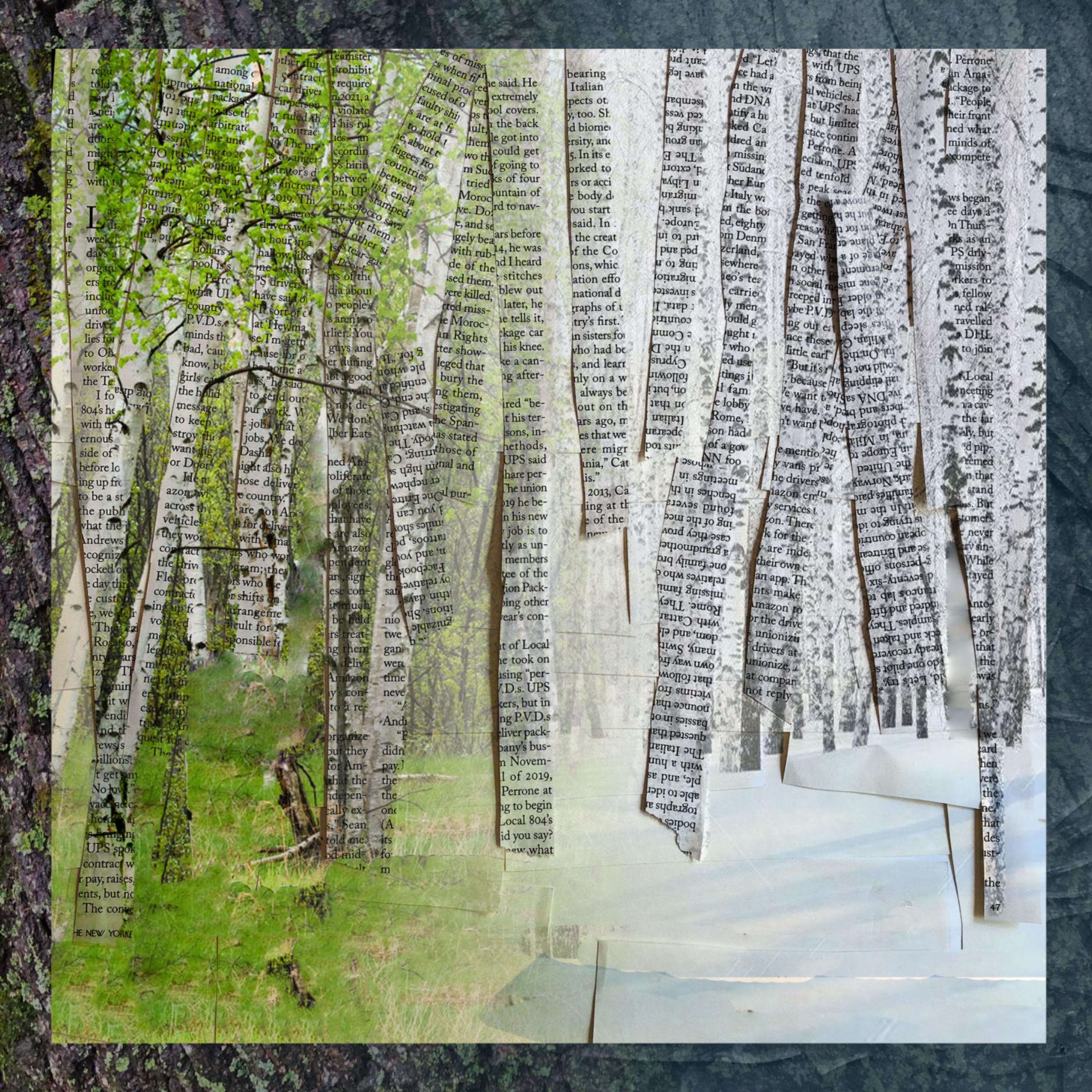 The Warming Winter - Single