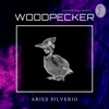 Aries Silverio - WOODPECKER