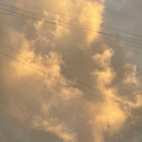 Effect - Single - evergarden