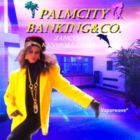 Palmcitybanking&Co. - Zanction