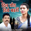 Dil Tod Diye Bairi - Single