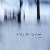 Calm after the storm artwork