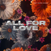 Felix Jaehn - All For Love (feat. Sandro Cavazza) artwork