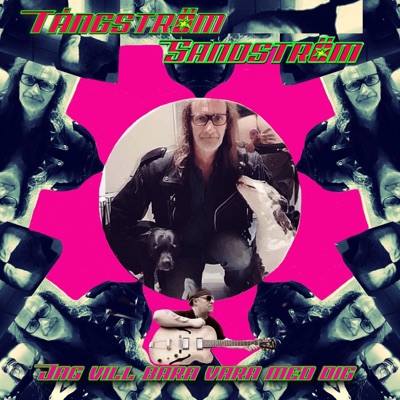 Jag vill bara vara med dig - Single