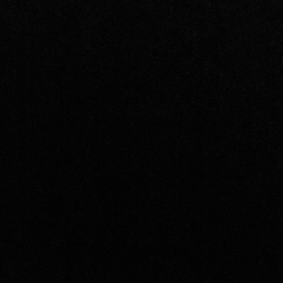 5 Man Political - Single