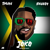 Joko (feat. Shaggy) artwork