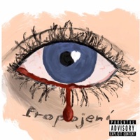 Lítost - Single - $TOKA