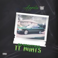So Beautiful It Hurts - Appolis
