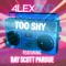 Too Shy (feat. Ray Scott Pardue) artwork