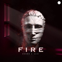 Fire - Single - DENRO & Alvi