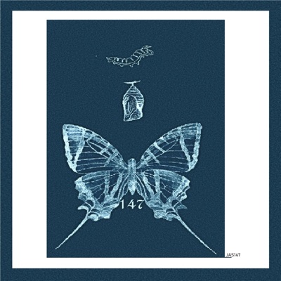 All On Me (feat. Joe_Louder) - Single