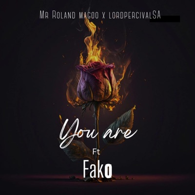 You Are (feat. Mr Roland Magoo & Fako) - Single