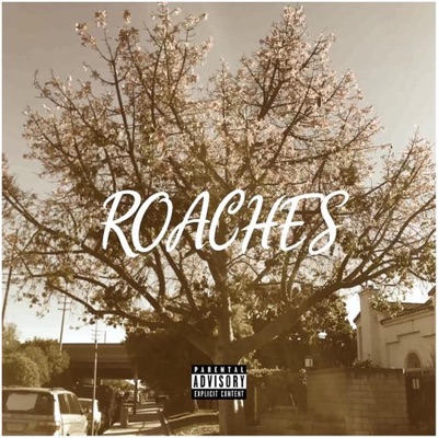 ROACHES (feat. Shackleton) - Single