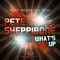 What's Up (Extended Slap House Mix 2k22) - Pete Sheppibone lyrics